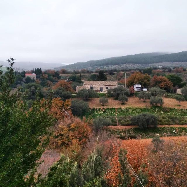 Ragusa Countryside Home Cooking Class & Meal - The menu changes with the season