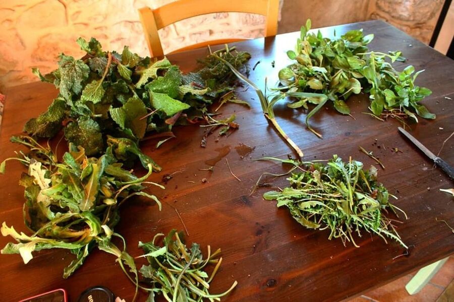 Ragusa Countryside Home Cooking Class & Meal - Gathering ingredients before the class begins