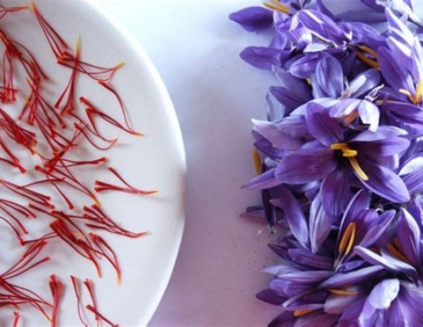Recco: Cooking Class with Market Visit and Sea Views - Key points at a glance