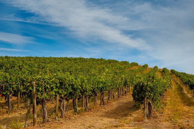 Rhodes Wine & Food Tour: 10 Meal Course Lunch, Wine Tasting, Cooking Class - Group size, timing, and cruise-port reality