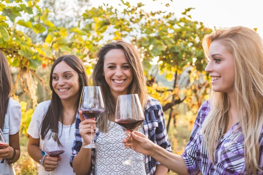 Rhodes: Winery Tour, Tasting and cooking with the Winemaker - Who should book this experience?