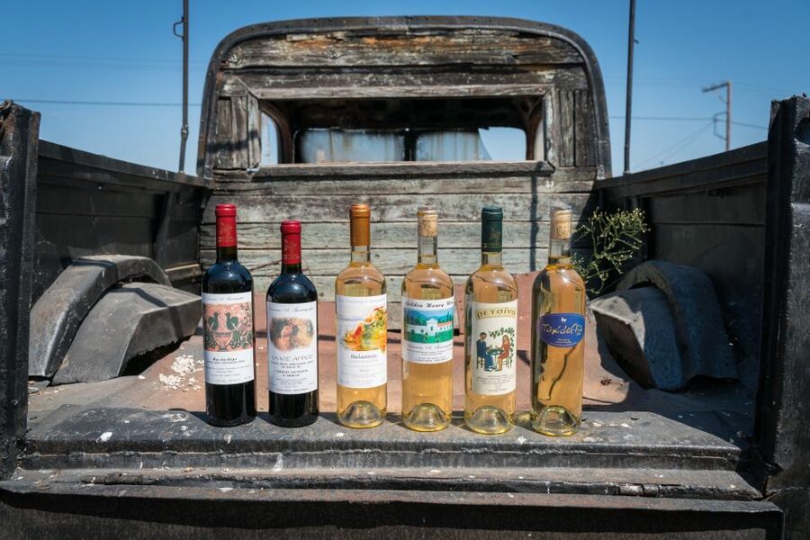 Rhodes: Winery Tour, Tasting and cooking with the Winemaker - Walking through the vineyard and local grape varieties