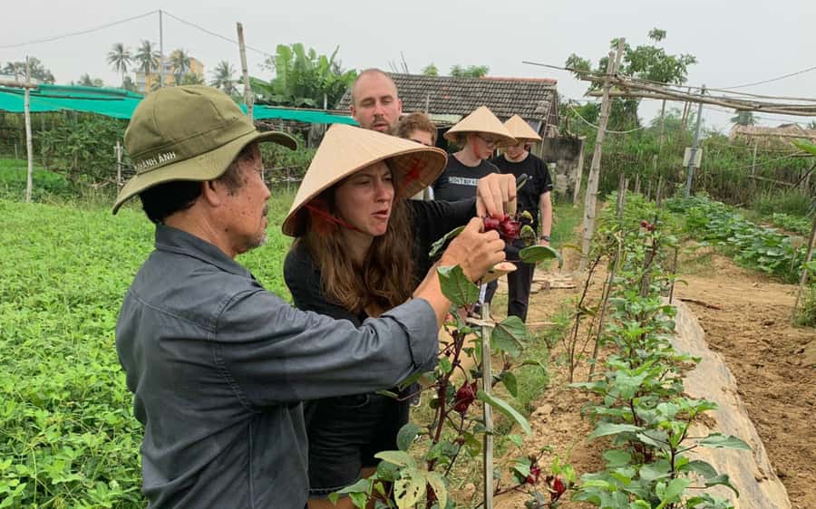 Rural Cycle, Market Tour, Basket Boat & Organic Farm Cooking - A market stop and unfamiliar fruit