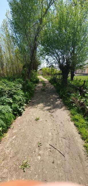 Samarkand: Village Tour with Plov Cooking Class & Home Visit - Why this day adds something to Samarkand