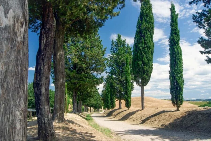San Gimignano, Chianti with Winery Lunch & Cooking Class - Why this works as a one-day Tuscany tour