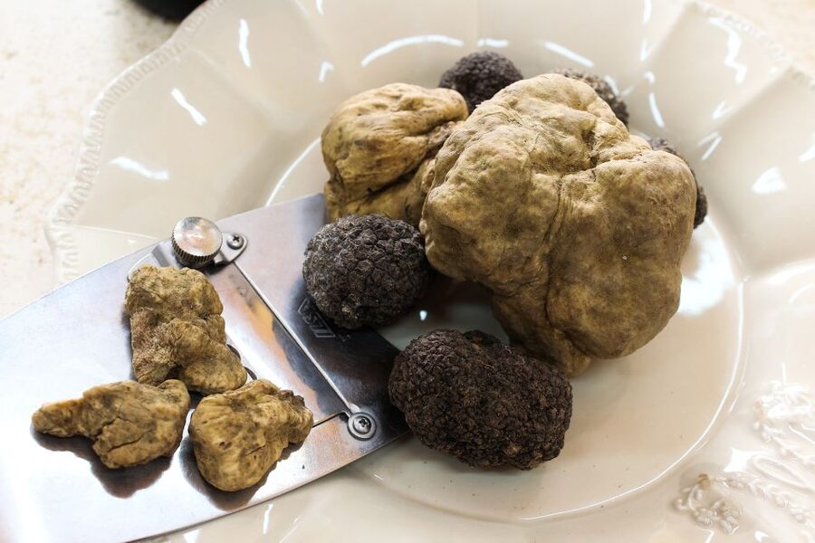 San Gimignano: Truffle Cooking Class with Wine Tasting - Tenuta Torciano: the setting adds real value