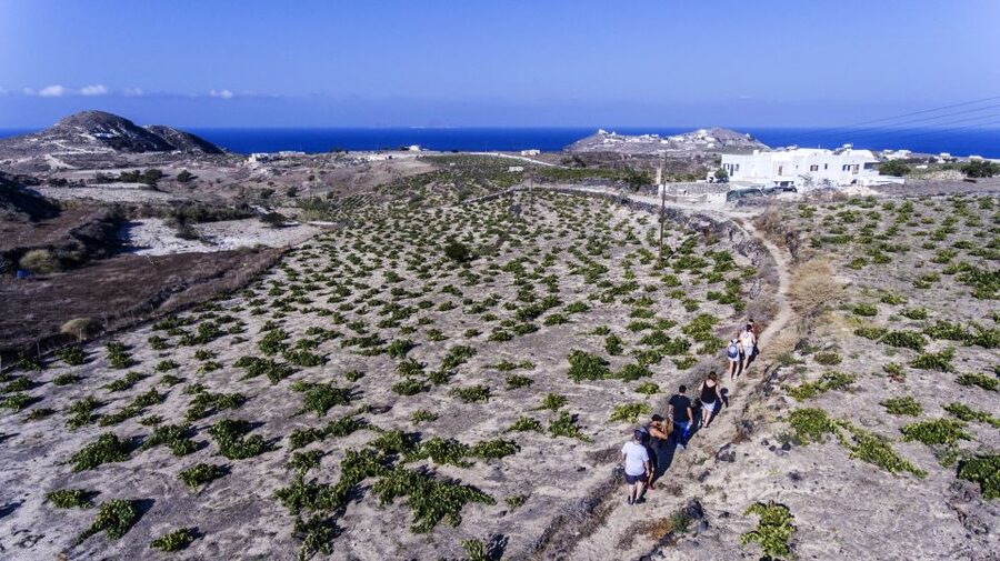 Santorini: Cooking Class and Easy Hike - Who should book it, and who should skip it