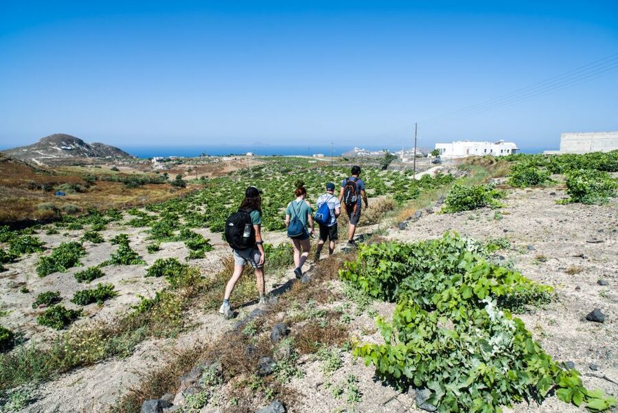 Santorini: Cooking Class and Easy Hike - Lunch is part of the real value