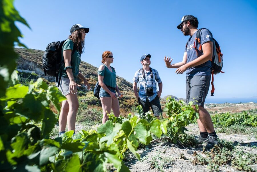 Santorini: Cooking Class and Easy Hike - How the four hours are likely to feel