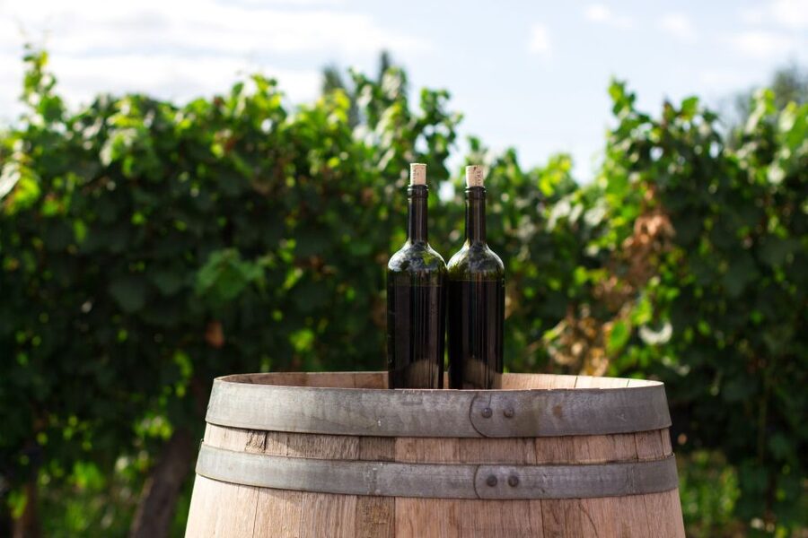 Santorini: Greek Cooking Class with Wine Tasting - Key points at a glance