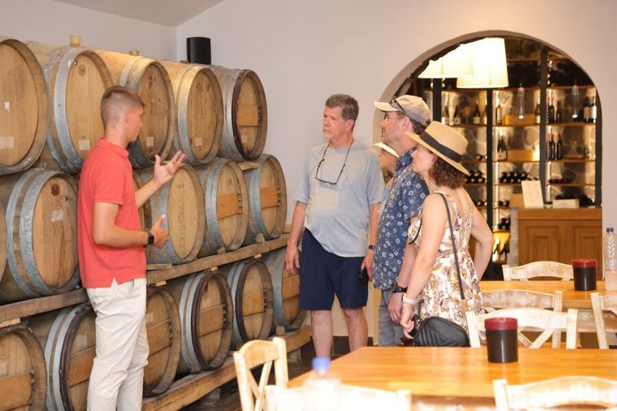 Santorini: Vineyard and Winery Tour with Cooking Class - Walking through Santorini’s old vineyard style