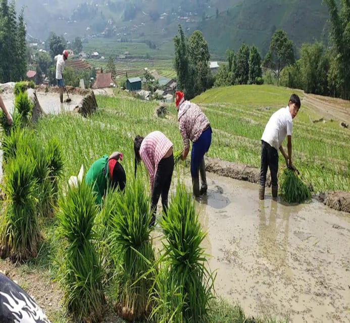 Sapa: Local Hmong Cooking Class - What the $36 price includes