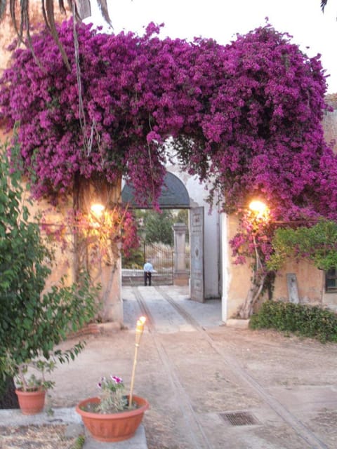 Sicilian cooking class in the historic baglio Florio Adamo - Key details at a glance