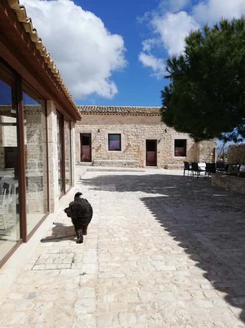 Sicily: Traditional Cooking Class with Dinner - Who Will Enjoy This Class Most