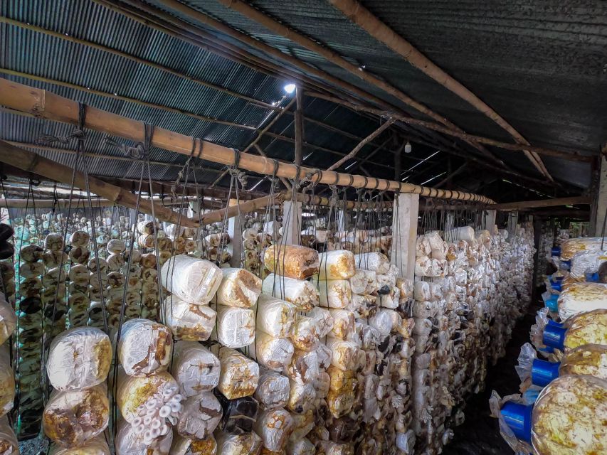 Siem Reap: Afternoon Cooking Class & Village Tour - The recipe book adds value after the tour