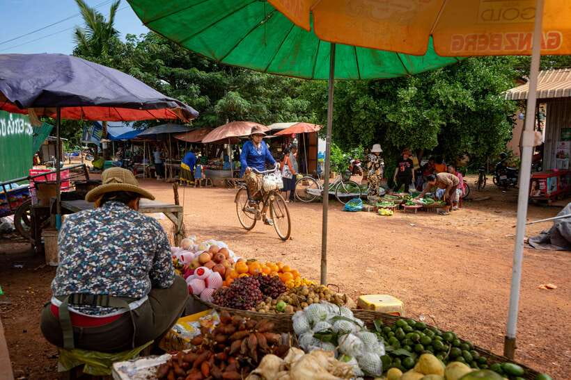 Siem Reap: Afternoon Cooking Class & Village Tour - Seeing village life beyond the temple circuit