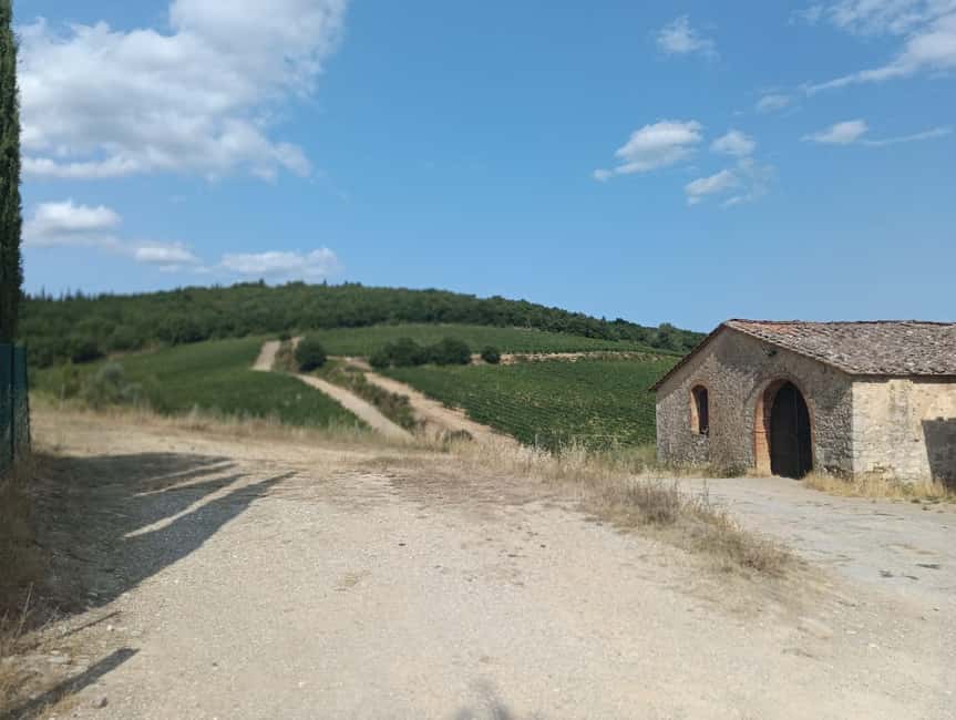 Siena: Small-group Cooking Class in a Chianti Farm - Key points at a glance
