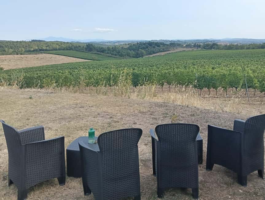 Siena: Small-group Cooking Class in a Chianti Farm - Who should book this experience?