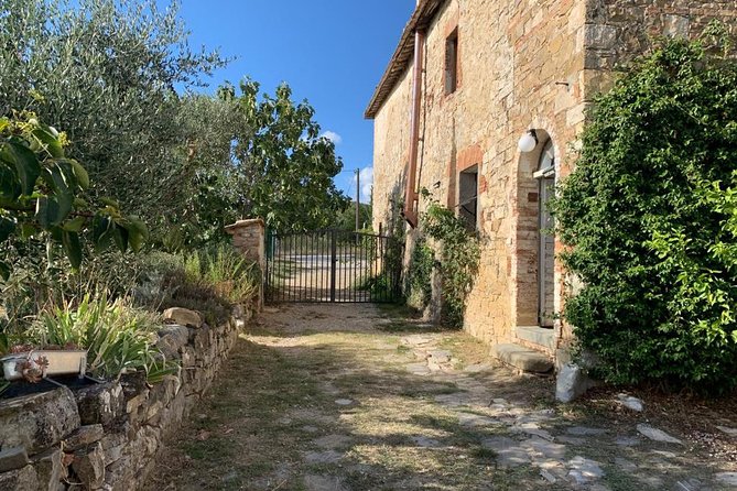 Siena: Small group Cooking Class in Chianti Farmhouse - Sauces, family recipes, and a proper Tuscan lunch