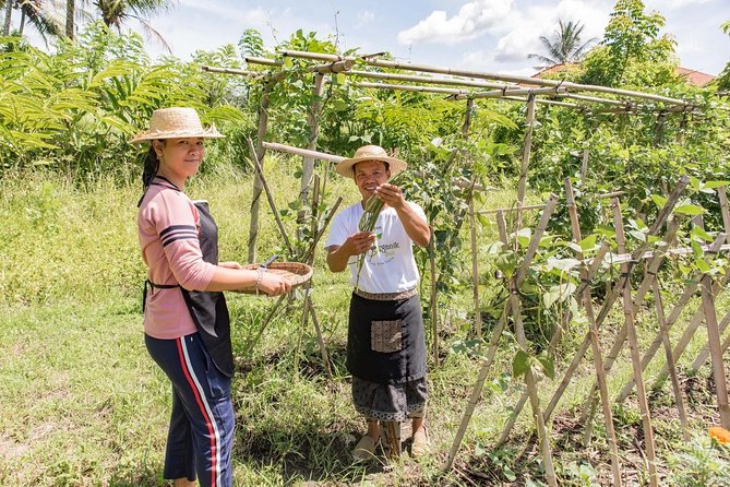 Small-Group Farm Tour & Balinese Cooking Class in Ubud with Kadek - A farm tour that begins with the ingredients