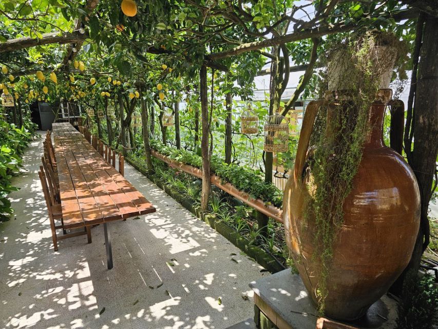 Sorrento Coast: E-Bike & Cooking Experience - Key points to know before booking