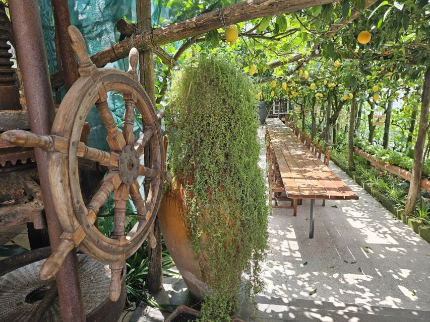 Sorrento Coast: E-Bike & Cooking Experience - Why this combination works in Sorrento