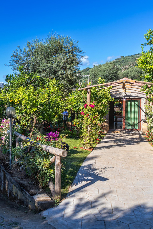 Sorrento Cooking Class: Taste the Tradition feel the Love - Leaving Sorrento for the cooking villa
