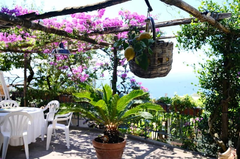 Sorrento: Marì Cooking Class in a Family Farm w/ Coast View - Meeting Marì and her family