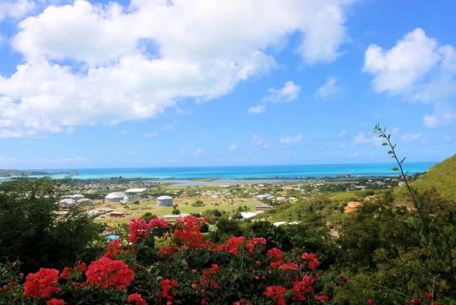 St. John's: From the Sea Cooking Class - Who will enjoy this most
