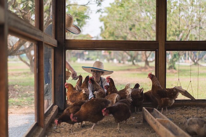 Sunset Thai Cooking with Grandma - Farm & Evening Feast - Eating the food while it is fresh