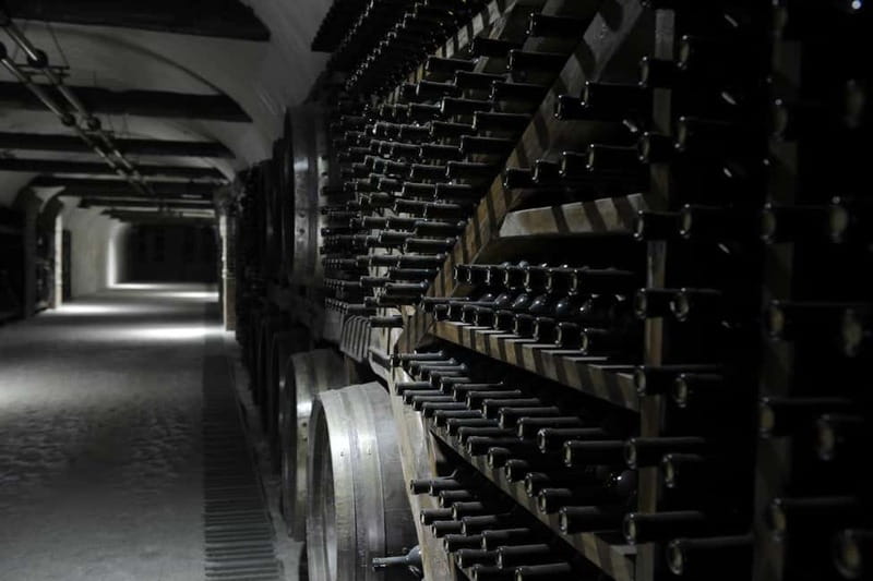 Tbilisi: Kakheti Horse Riding, Wine Tasting, and Cooking … - How much value do you get for $235?