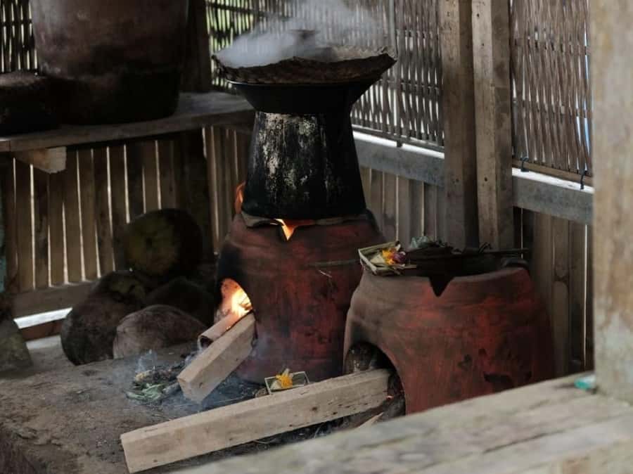 The Authentic Balinese Cooking Experience - What the farm visit adds