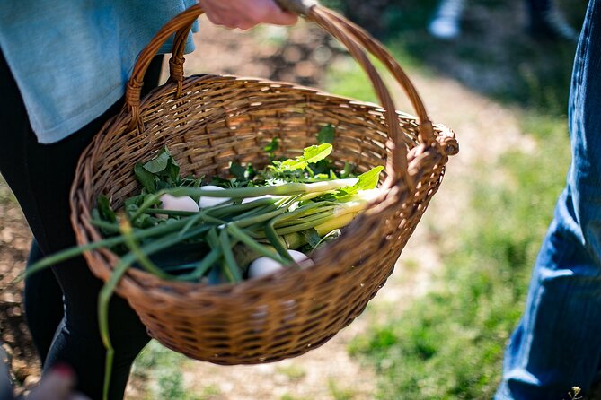Traditional Cooking Class in Dubrovnik Countryside - The biggest question: is it truly a cooking class?
