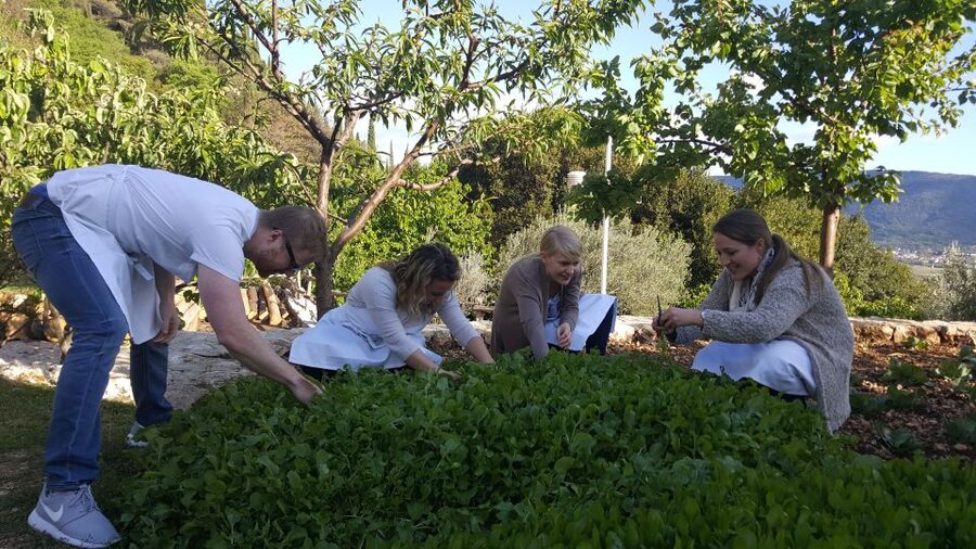 Traditional Dalmatian Cooking Class from Dubrovnik - What you may cook during the four-course meal