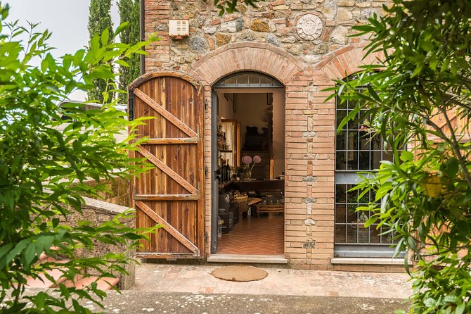 Truffle Hunting and Cooking Class - From vineyard and olive grove to family kitchen
