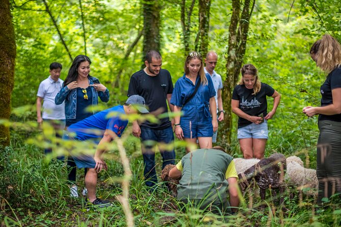 Truffle hunting & cooking tour - Who will enjoy this most?