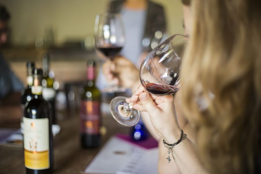 Tuscan Cooking Experience with Wine Tasting in Panzano in C. - Who will enjoy this experience most?