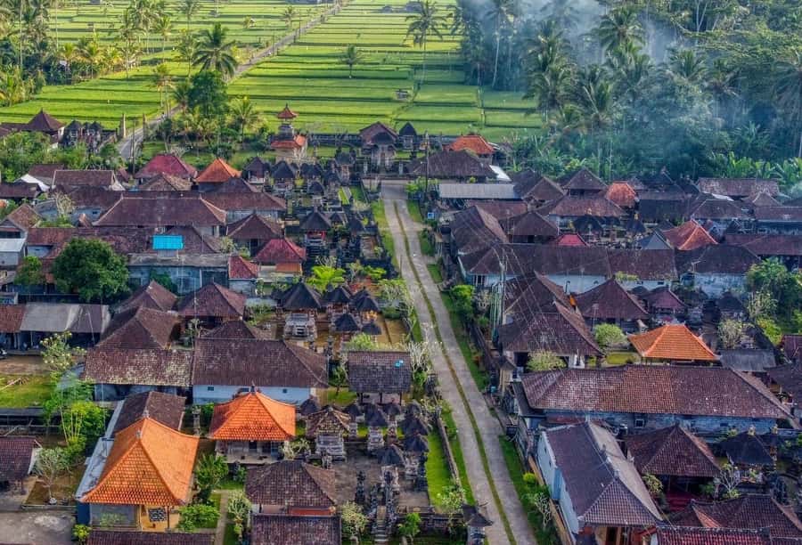 Ubud: Authentic Traditional Balinese Village Cooking Class - Arriving in Delodsema Village