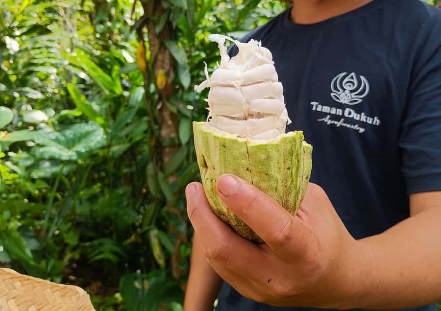 Ubud: Balinese Cooking Class at an Organic Farm - Breakfast, fruit, and a walk through the farm