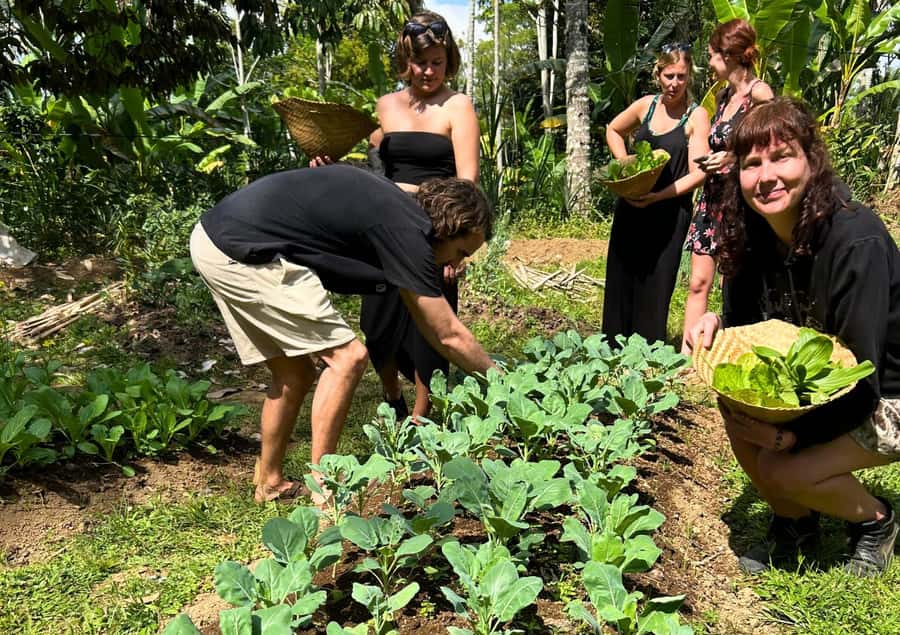Ubud: Balinese Cooking Class at an Organic Farm - How hands-on is the cooking?
