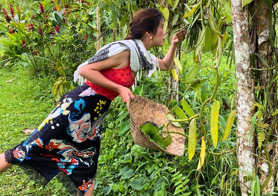 Ubud: Balinese Cooking Class at an Organic Farm - The ride from Ubud to the farm