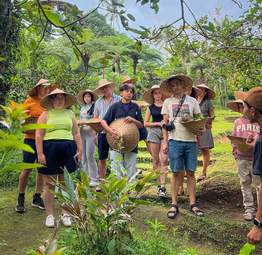 Ubud: Organic Farm Harvest, Bali Cooking Class by Pemulan - Starting at the Ubud meeting point