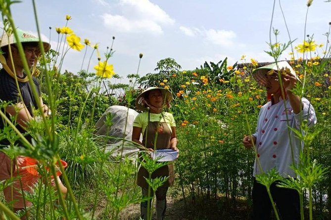 Unique farm to Table cooking class in Saigon - How the price compares with the experience