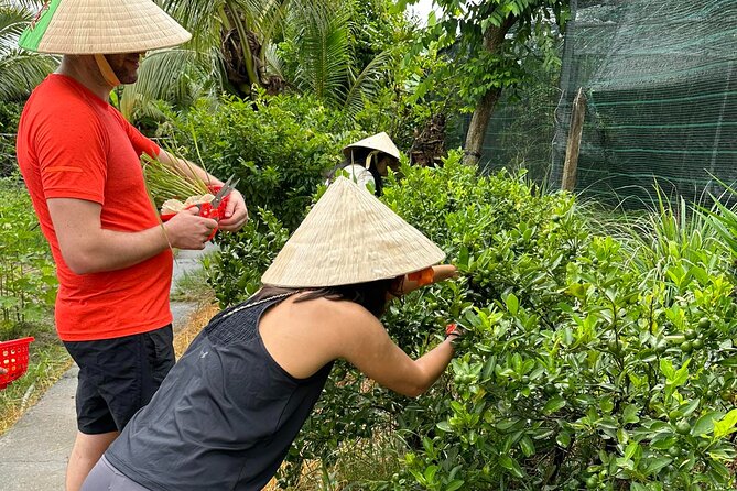 Unique Farm to Table Cooking Class with Top Chef in Vietnam - What the $67 price really covers