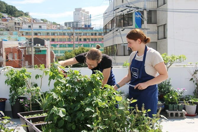 Vegan Friendly Korean Food Cooking Class - Key points at a glance