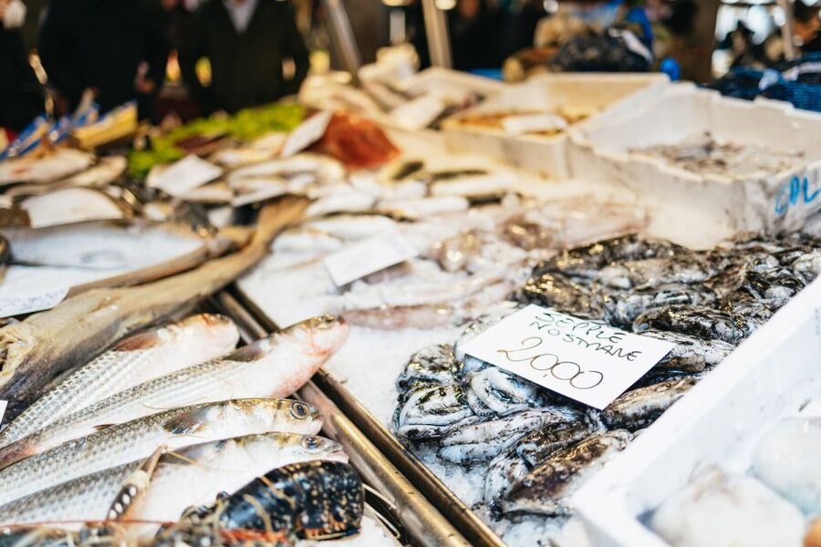 Venice: Rialto Market Tour, Cooking Class, and Lunch - Should you book the Rialto cooking experience?