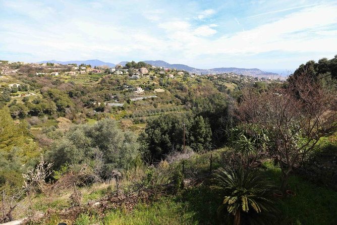 Viator Exclusive: Local Cooking Class & Dinner with View of Nice - Who will enjoy this Nice experience most