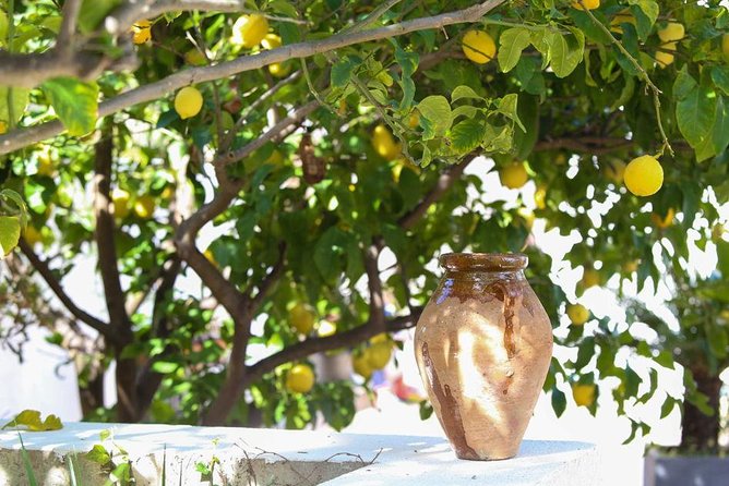 Viator Exclusive: Local Cooking Class & Dinner with View of Nice - Booking timing, cancellation, and small practical details