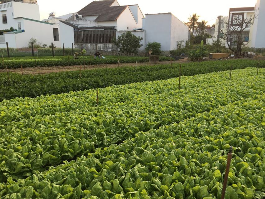 Viet Garden Cooking Class (Countryside and Market tour) - Key Points at a Glance